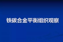 铁碳合金平衡组织观察