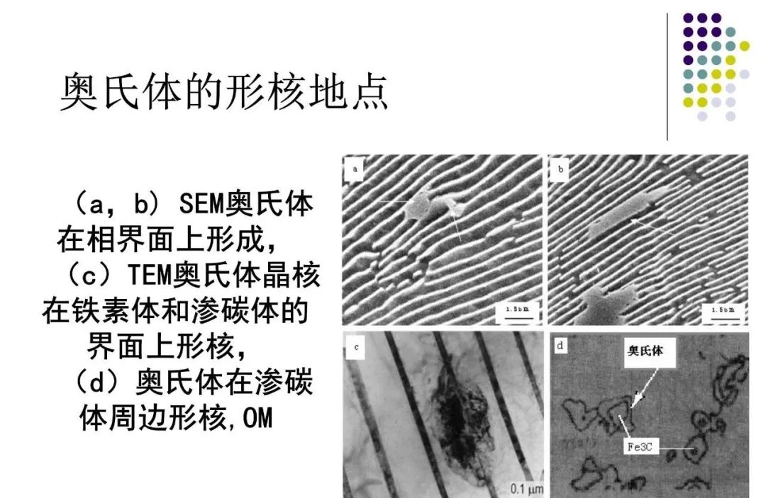 奥氏体形成机理-钢铁百科