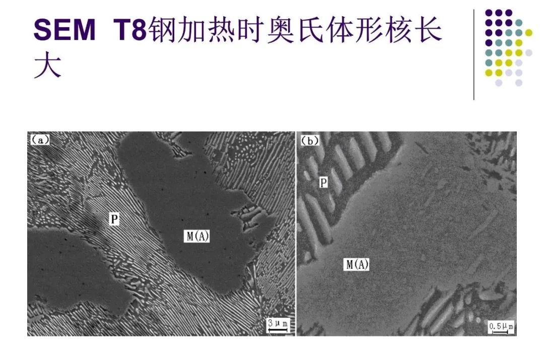 奥氏体形成机理-钢铁百科