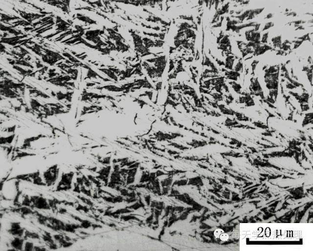 魏氏体与上贝氏体的判别-钢铁百科