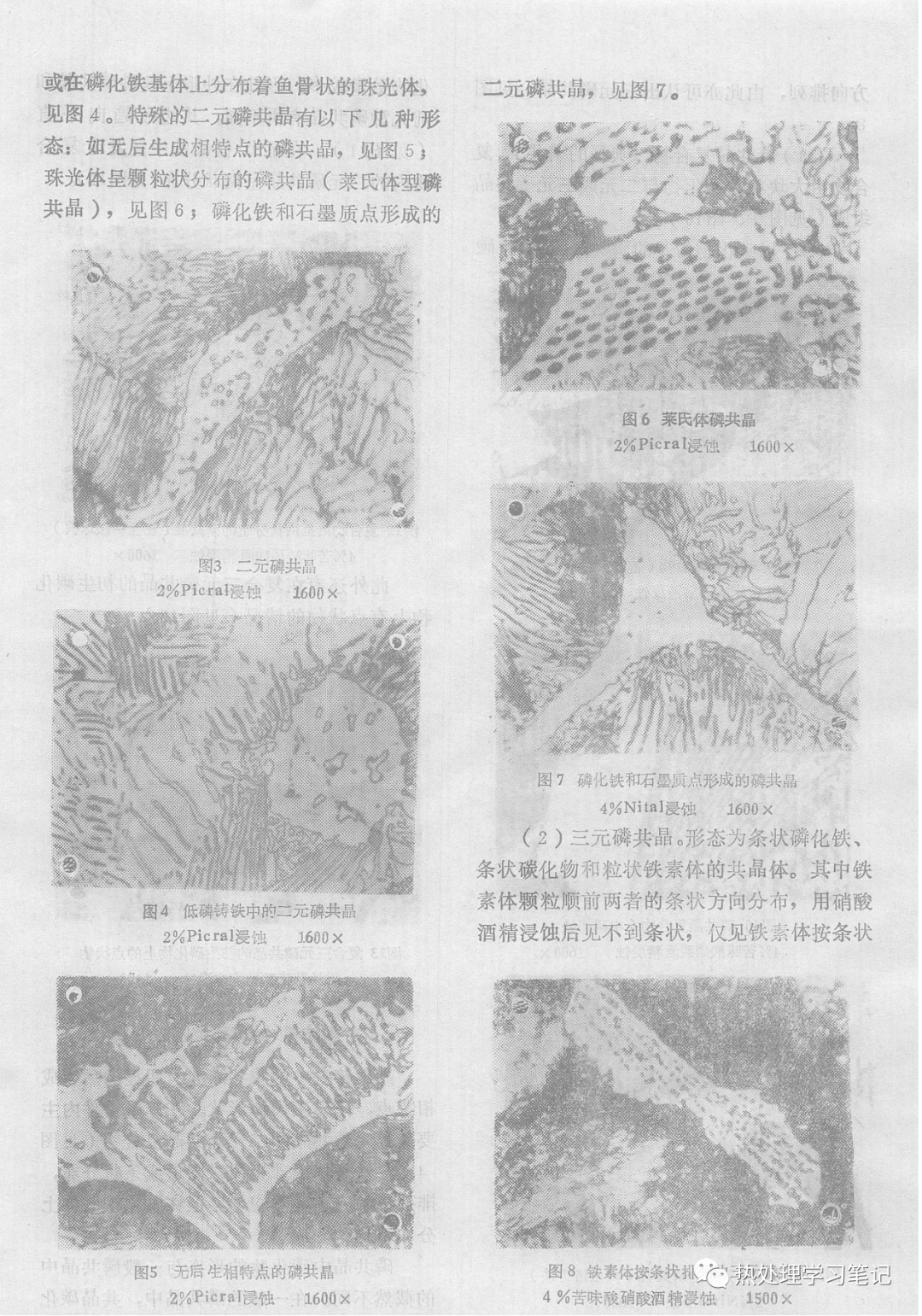 铸铁中磷共晶的金相形态-钢铁百科