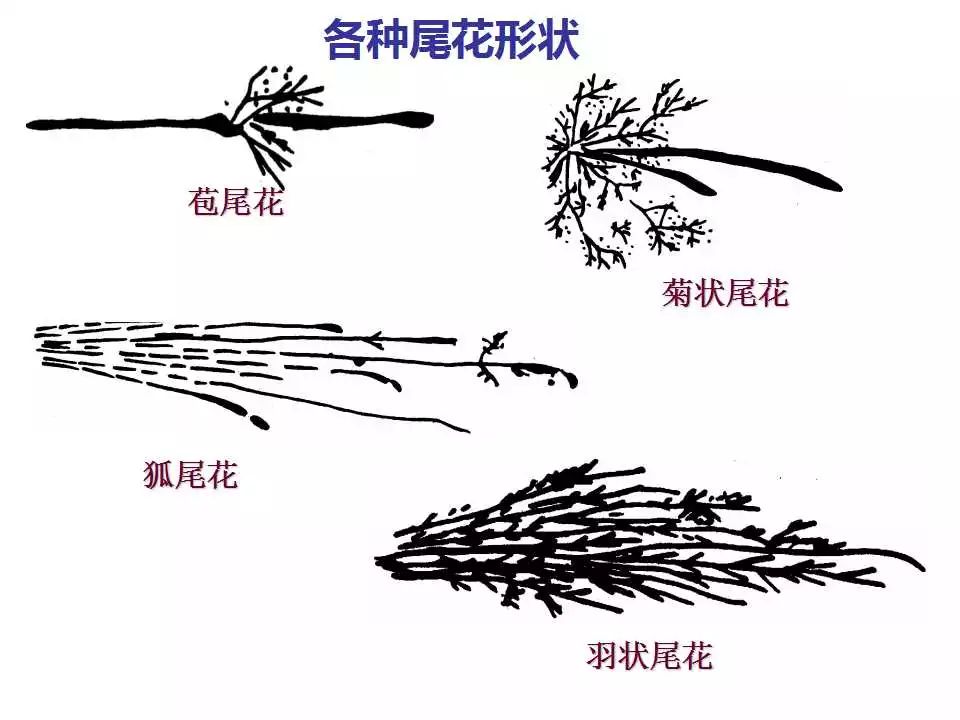 钢种火花鉴别方法详细说明-钢铁百科