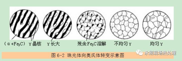 钢在加热时的转变-钢铁百科