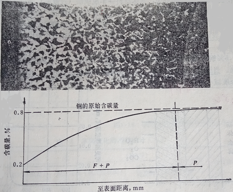 钢的脱碳层的组织结构-钢铁百科